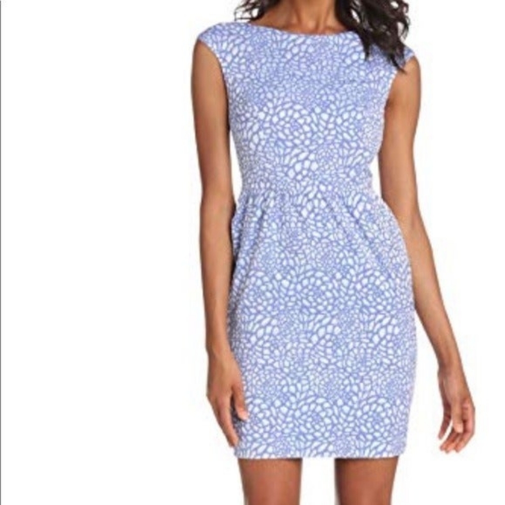 Cynthia Steffe Blue Floral Print Dress